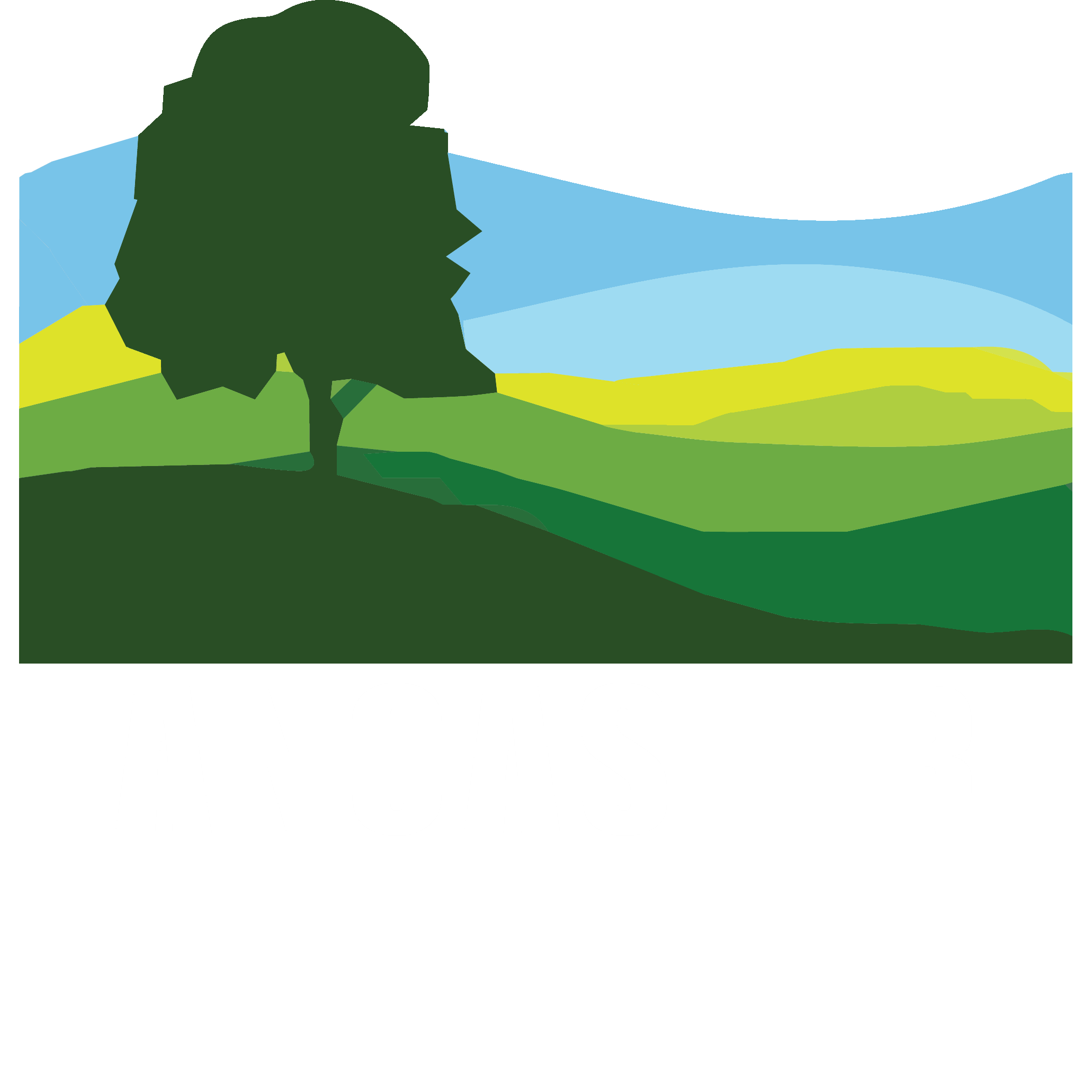 LEHSS Logo